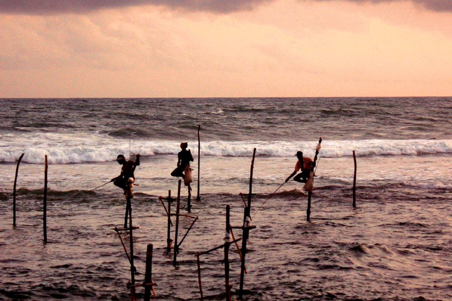 Stilt fishermen at sunset south coast Sri Lanka