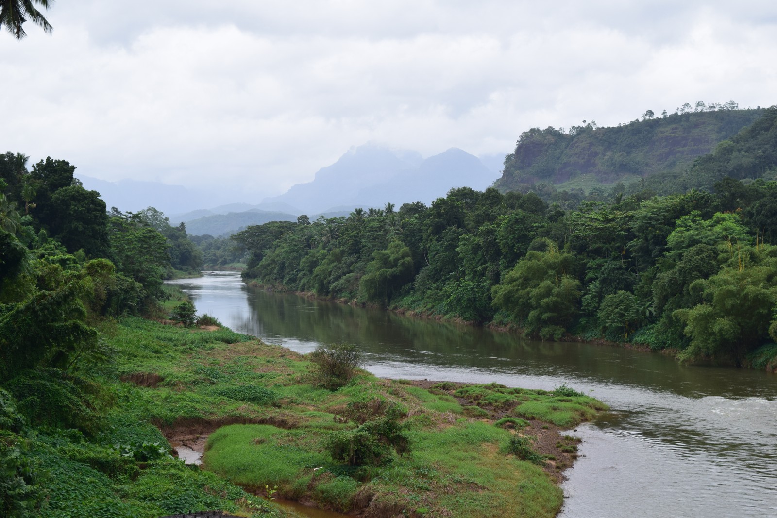 River winding through tropical jungle Sri Lanka