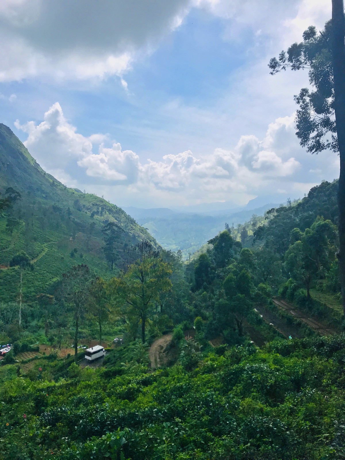 Deep highland valley hill country Sri Lanka