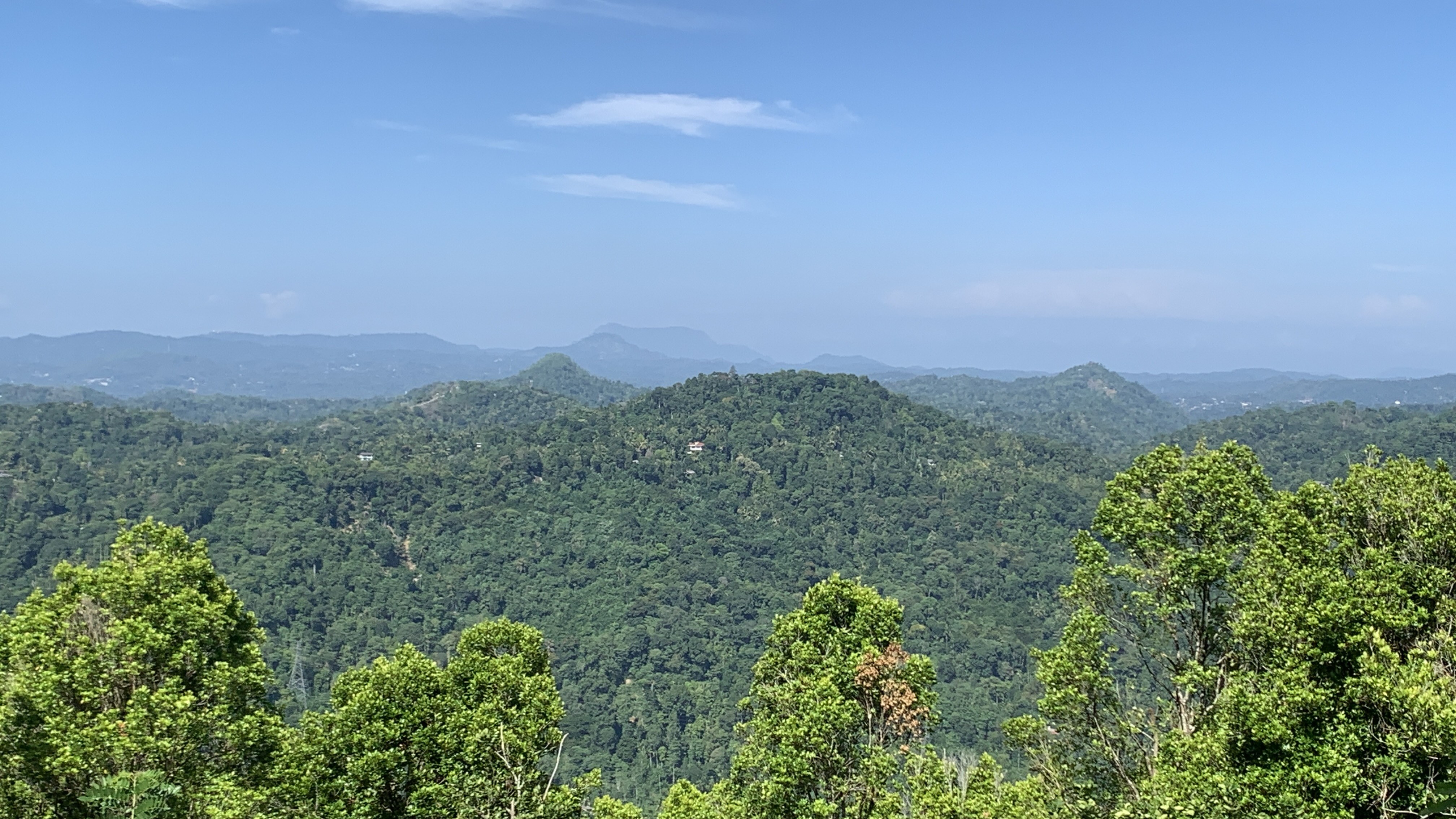 Elkaduwa hills Kandy
