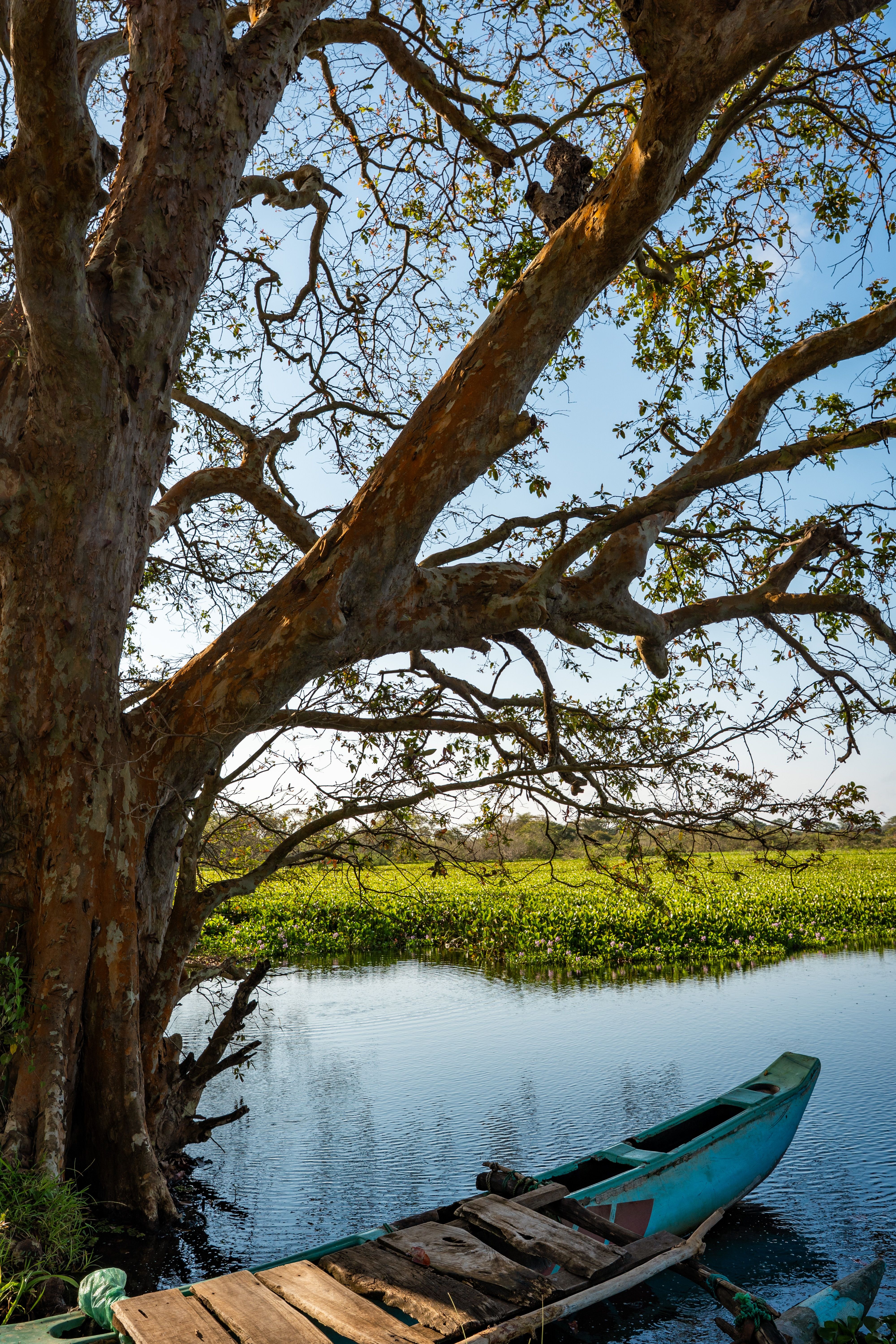 Village boat on a still waterway