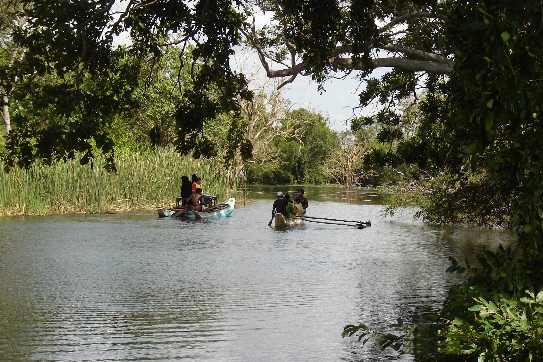 Traditional outrigger boats on a village river