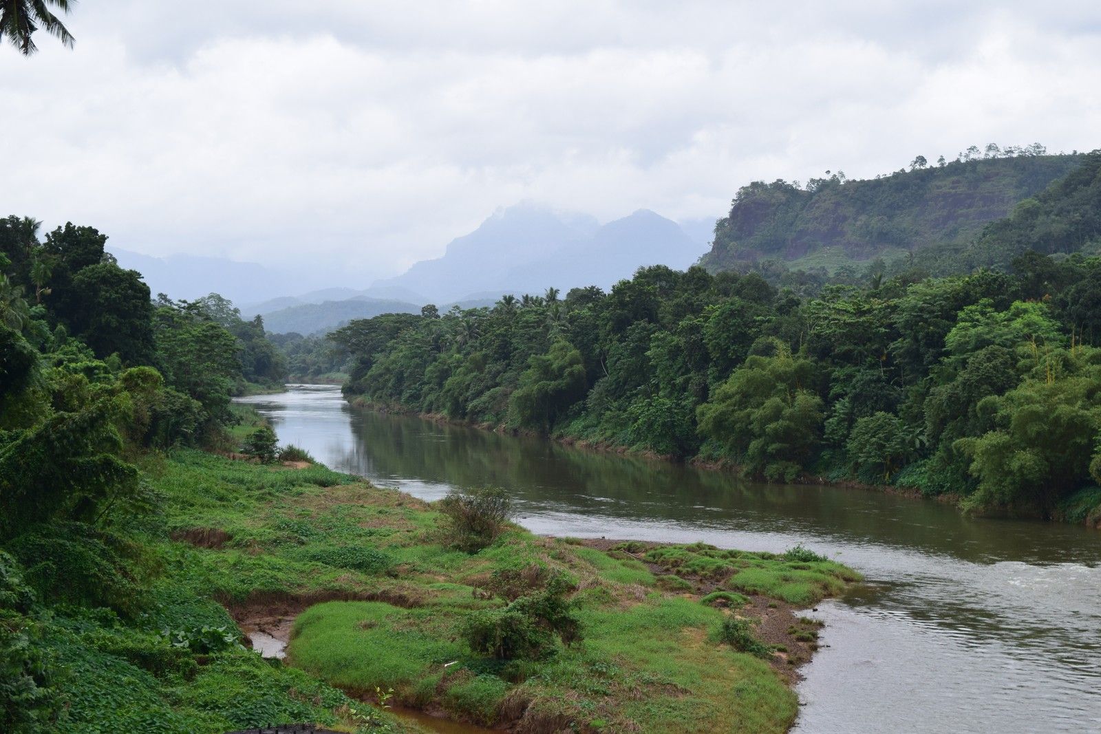 River winding through tropical jungle Sri Lanka