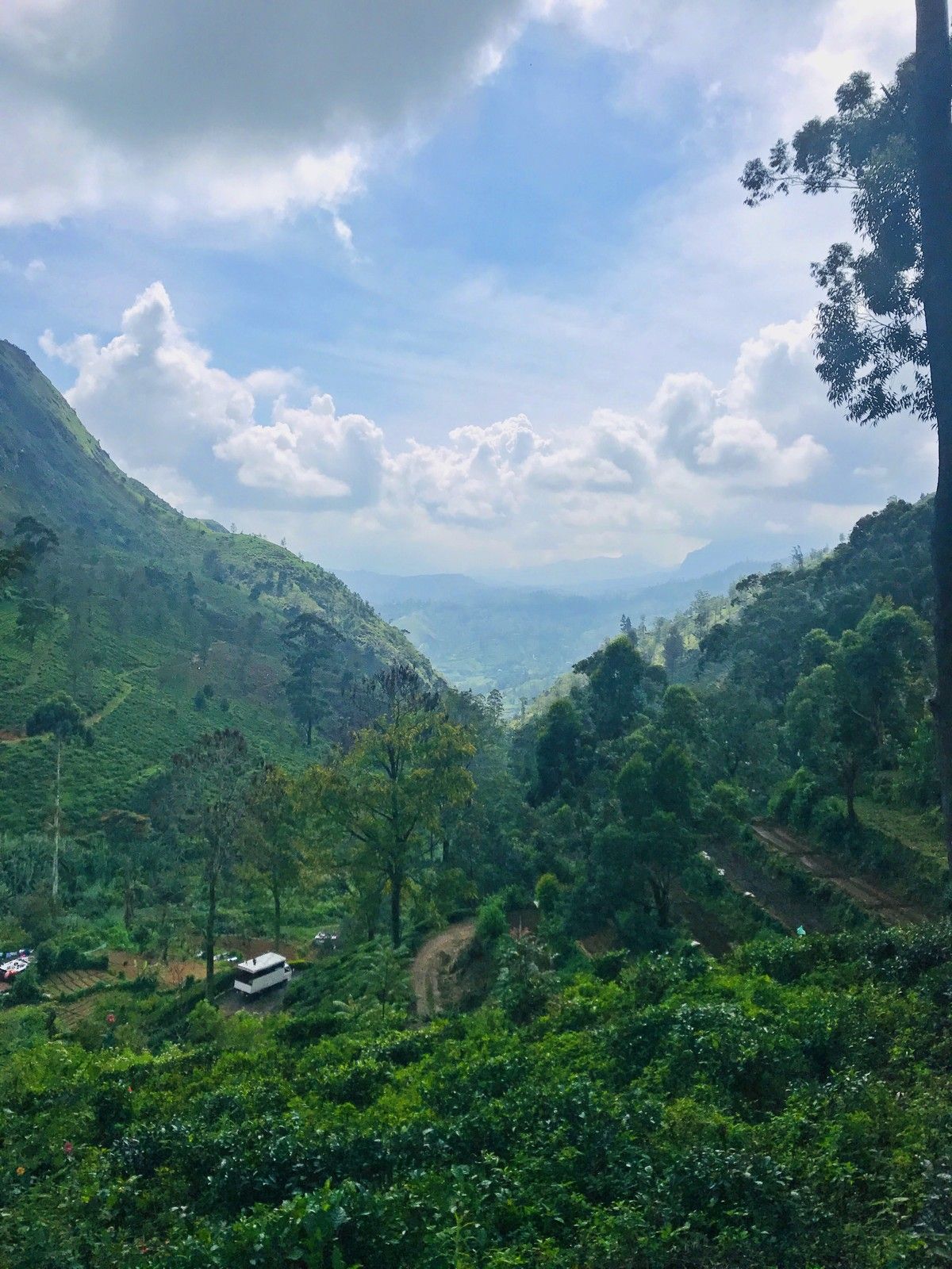 Deep highland valley hill country Sri Lanka